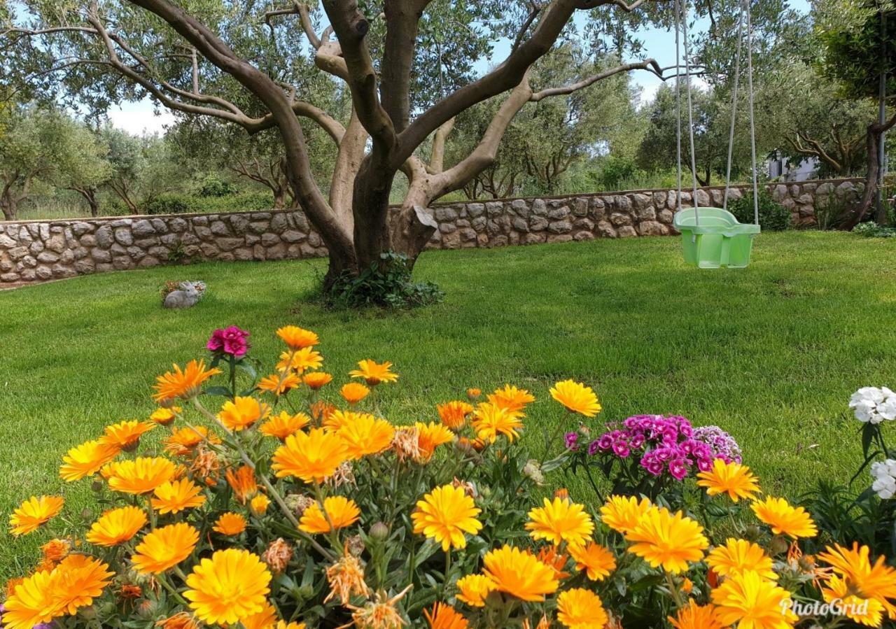 סבטי פיליפ אי ג'קוב Apartments Marina מראה חיצוני תמונה